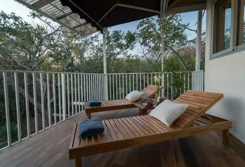 سوییت با چشمانداز دریا, Moana Surf Resort