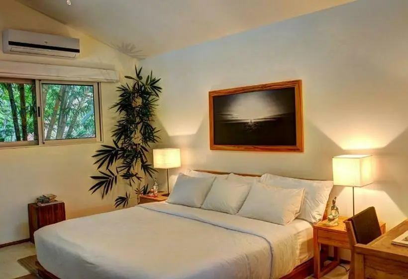 سوییت, Moana Surf Resort
