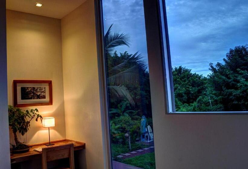 סטודיו דלוקס, Moana Surf Resort