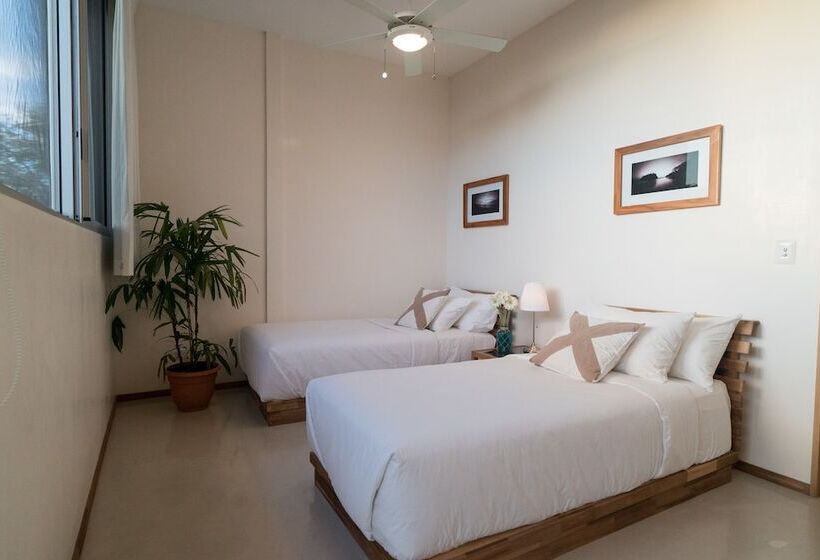 סטודיו דלוקס, Moana Surf Resort