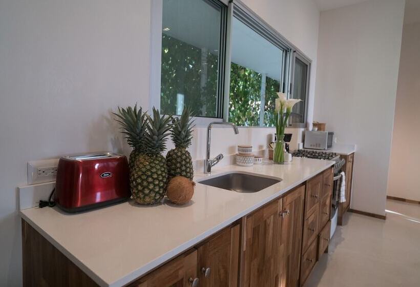استودیوی لوکس, Moana Surf Resort