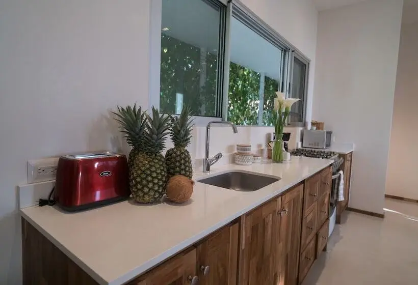 استودیوی لوکس, Moana Surf Resort