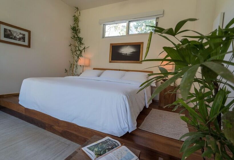 سوییت لوکس, Moana Surf Resort