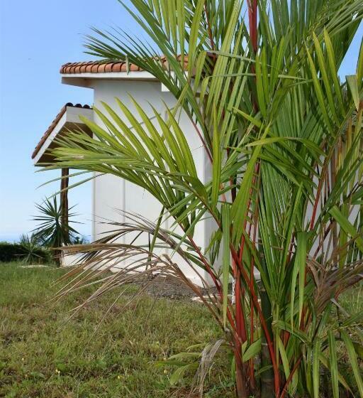 غرفة ديلوكس مطلّة علي البحر مزوَّدة بشُرفة, Peace & Lodge