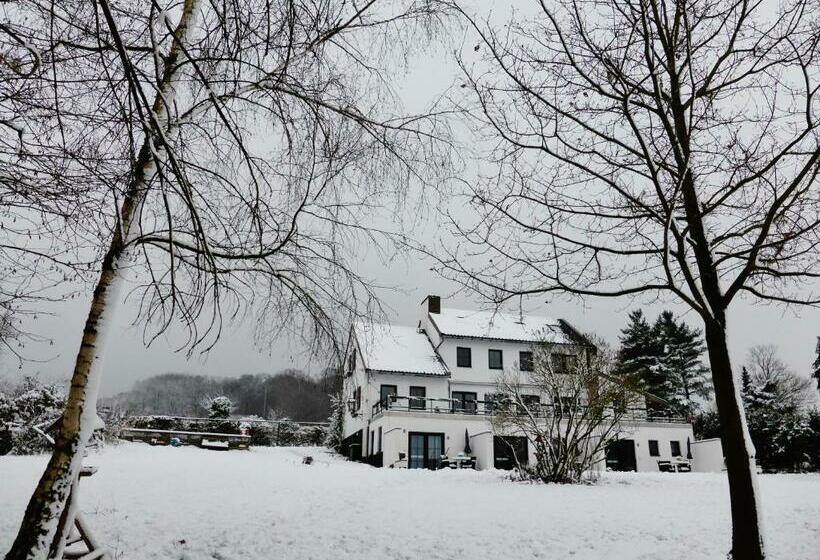 شقة غرفة واحدة مزودة بتراس, Villa Witte Lelie