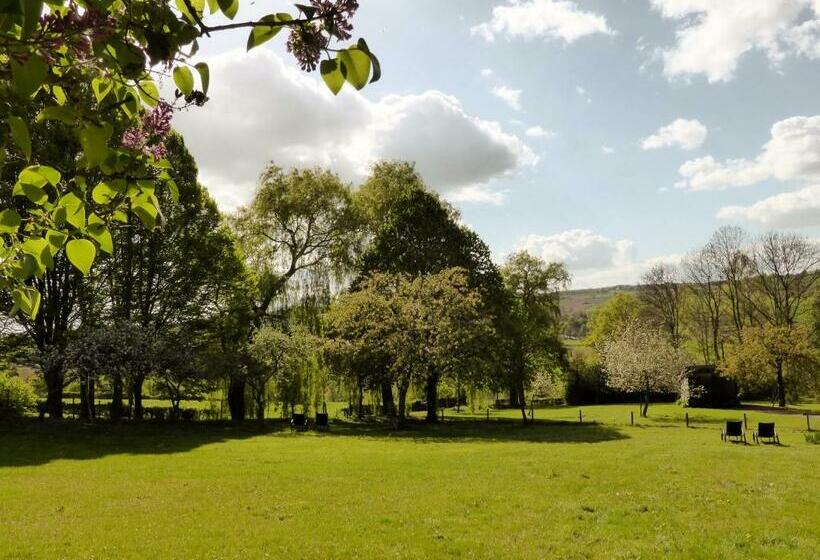 شقة غرفة واحدة مزودة بتراس, Villa Witte Lelie