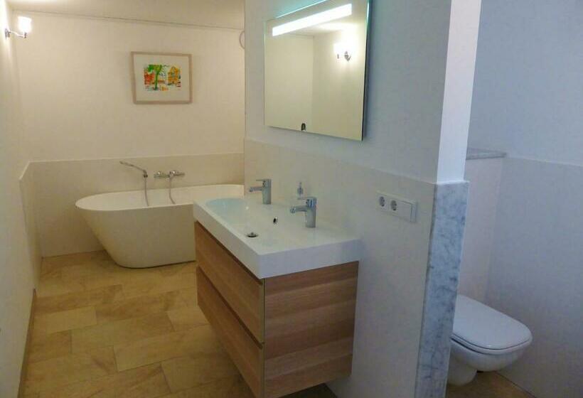 شقة غرفة واحدة مزودة بتراس, Villa Witte Lelie