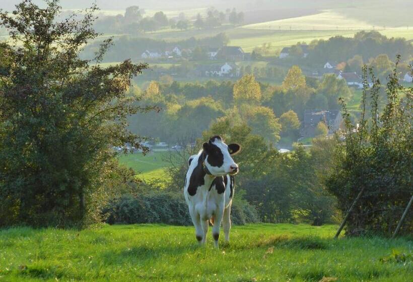 شقة غرفة واحدة مزودة بتراس, Villa Witte Lelie