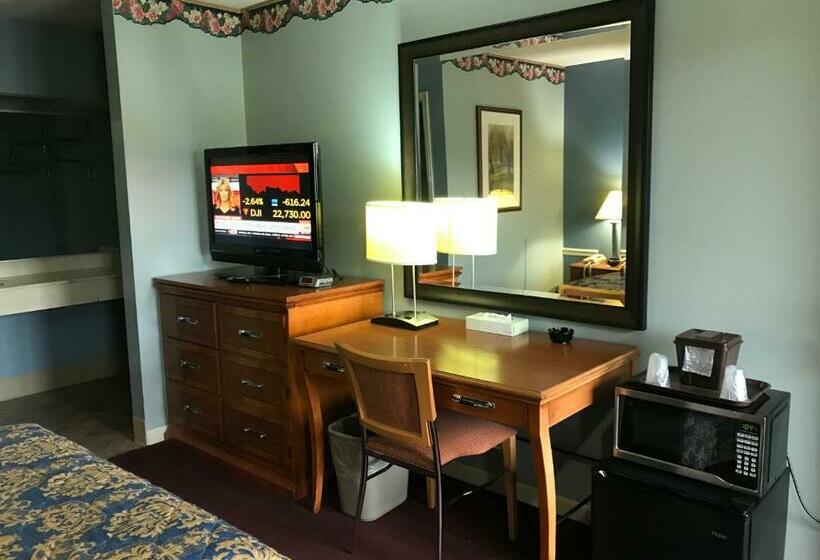 غرفة قياسية, Village Inn