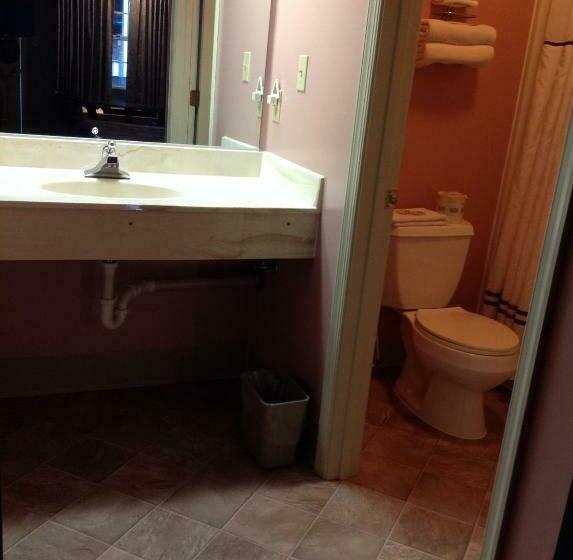 غرفه قياسيه سريرين مزدوجين, Village Inn