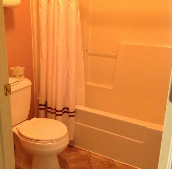 غرفه قياسيه سريرين مزدوجين, Village Inn