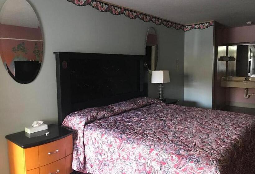 غرفة قياسية سرير كينج, Village Inn