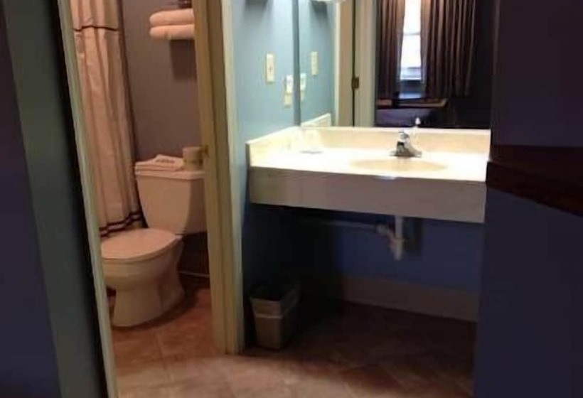 غرفه قياسيه سريرين مزدوجين, Village Inn