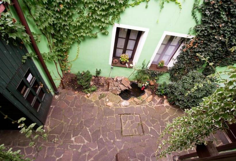Одноместный Номер Basic, Rodinný Hotel Myslivna