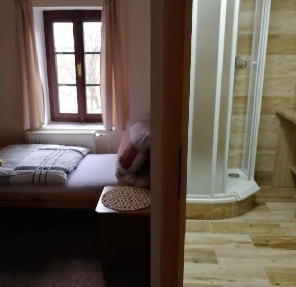Одноместный Номер Basic, Rodinný Hotel Myslivna