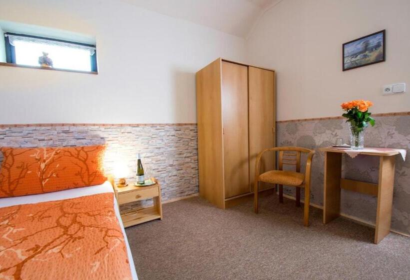 单人基本间, Rodinný Hotel Myslivna
