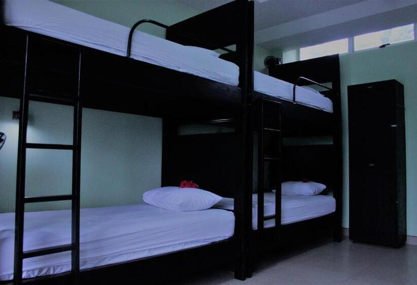 سرير فى غرفة مشتركه, Room2board Hostel And Surf School