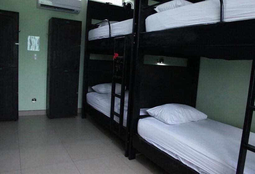 سرير فى غرفة مشتركه, Room2board Hostel And Surf School