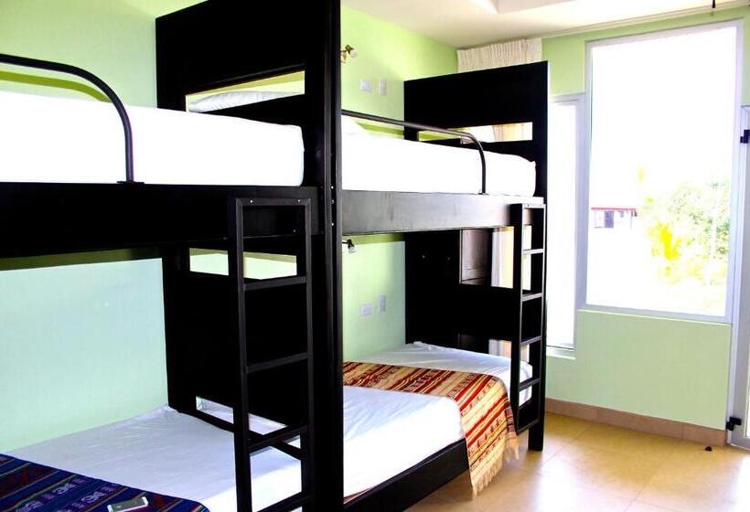 تختخواب در اتاق مشترک, Room2board Hostel And Surf School