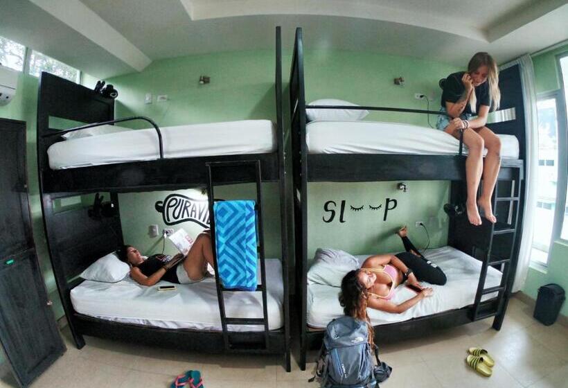 سرير فى غرفة مشتركه, Room2board Hostel And Surf School