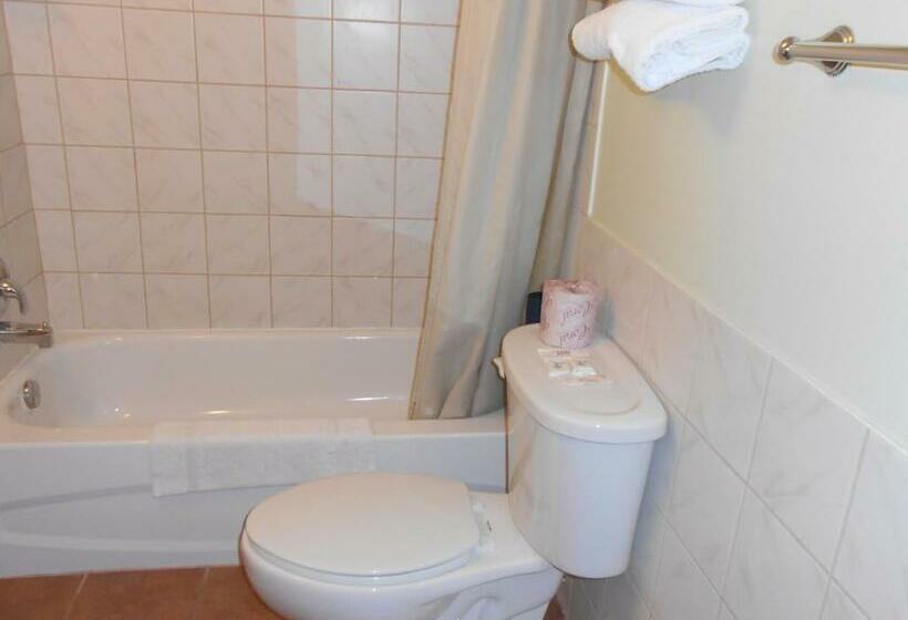 غرفة قياسية, Aquarius Motel