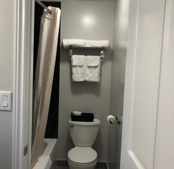 غرفة قياسية, Aquarius Motel