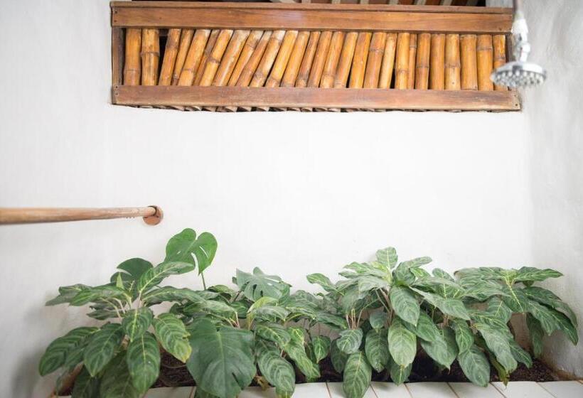 Номер Стандарт, Sueno Del Mar Beachfront