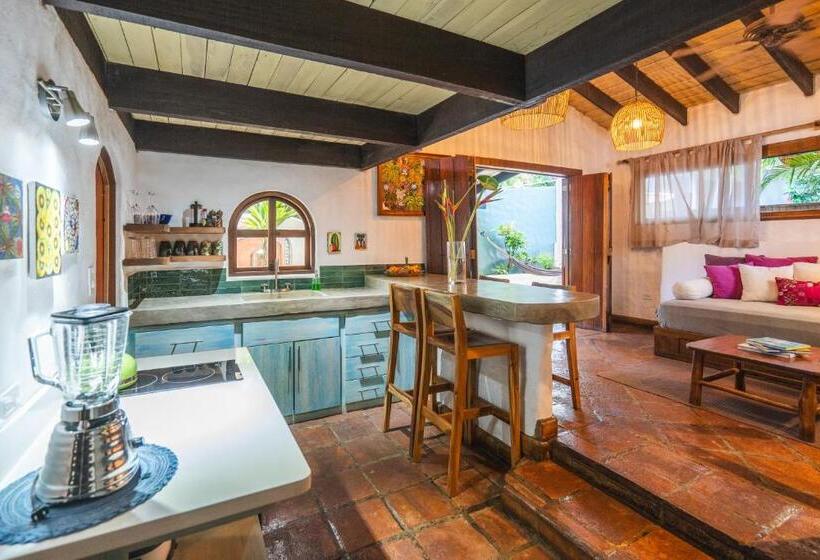 １ベッドルームのスーペリアアパートメント, Sueno Del Mar Beachfront