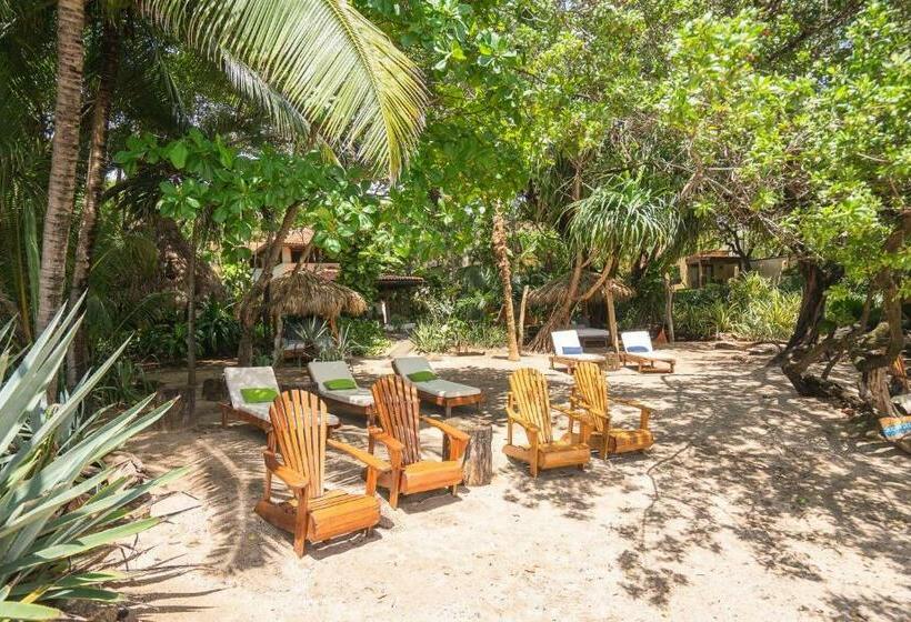 Номер Стандарт, Sueno Del Mar Beachfront