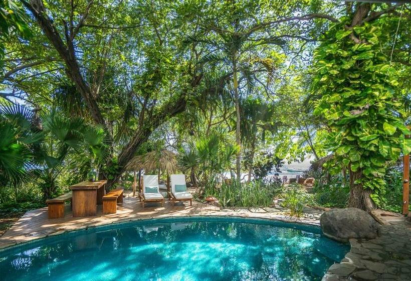 Апартаменты 1 Спальня, Sueno Del Mar Beachfront