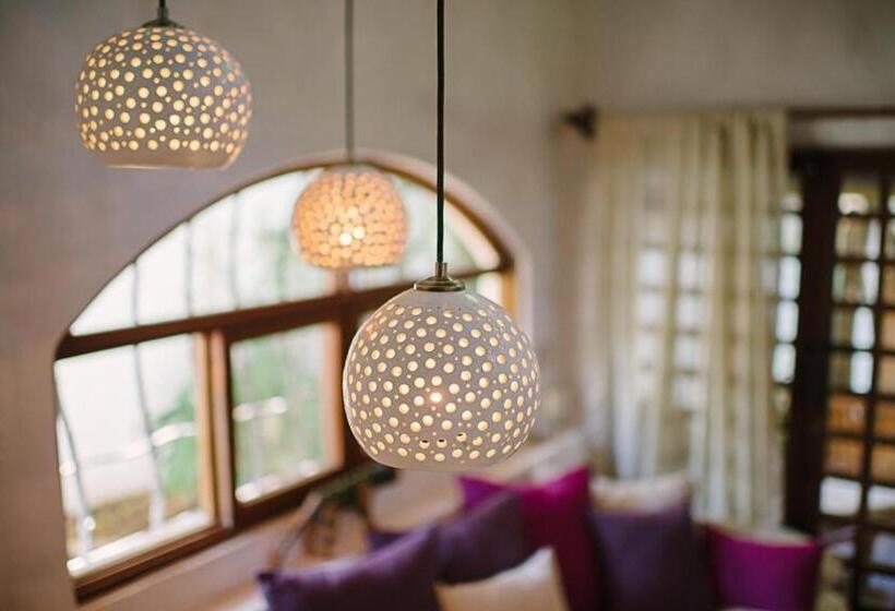 Апартаменты 1 Спальня, Sueno Del Mar Beachfront