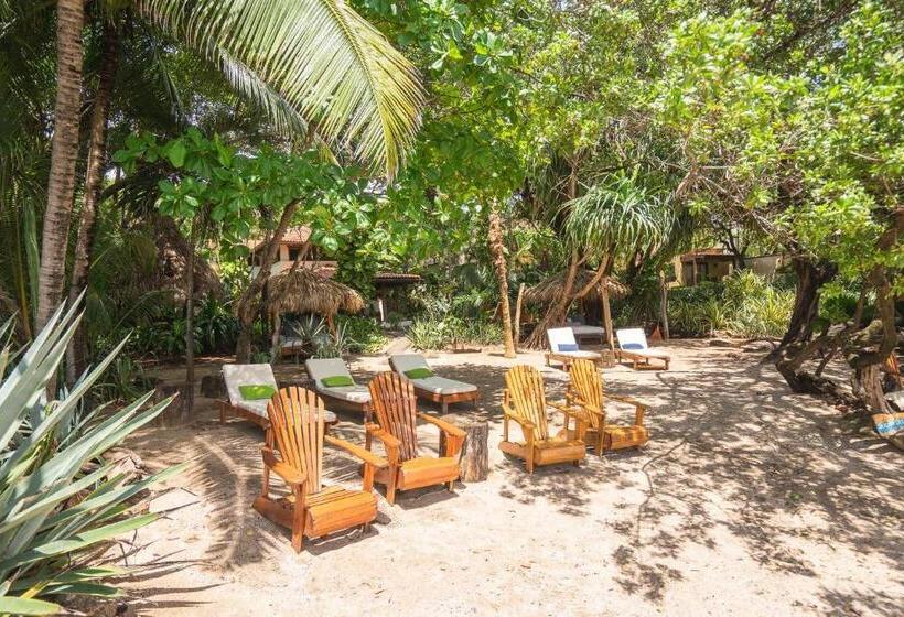 Люкс, Sueno Del Mar Beachfront