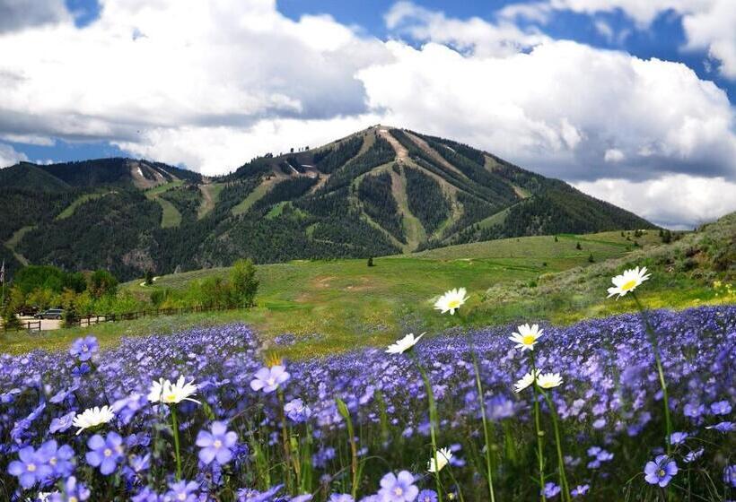 غرفة قياسية, High Country Motel