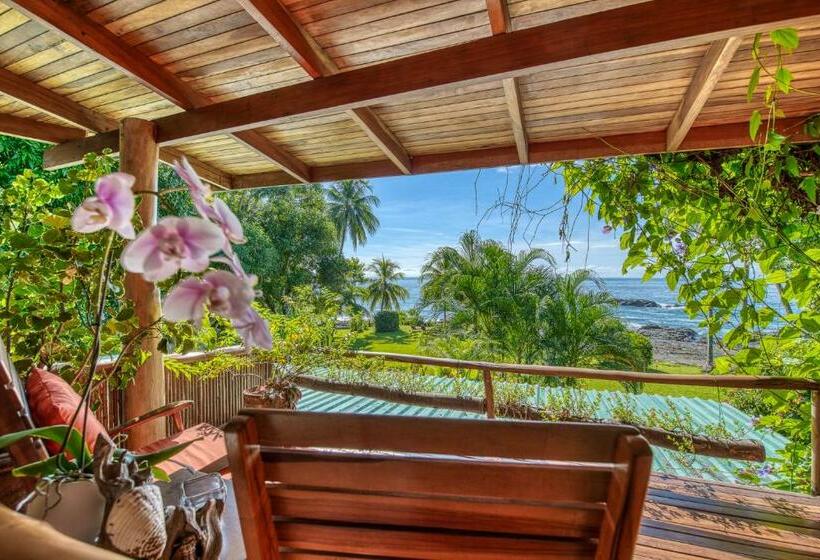 اتاق استاندارد با بالکن و چشمانداز دریا, Amor De Mar