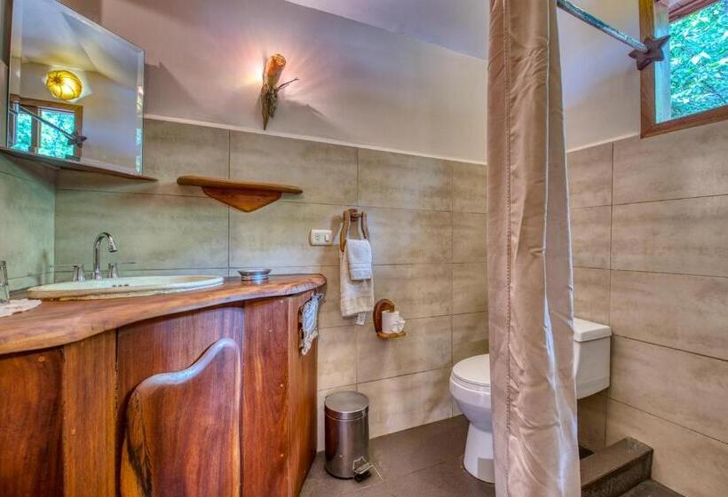 اتاق استاندارد, Amor De Mar