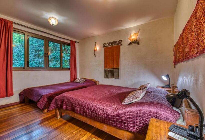 اتاق استاندارد, Amor De Mar