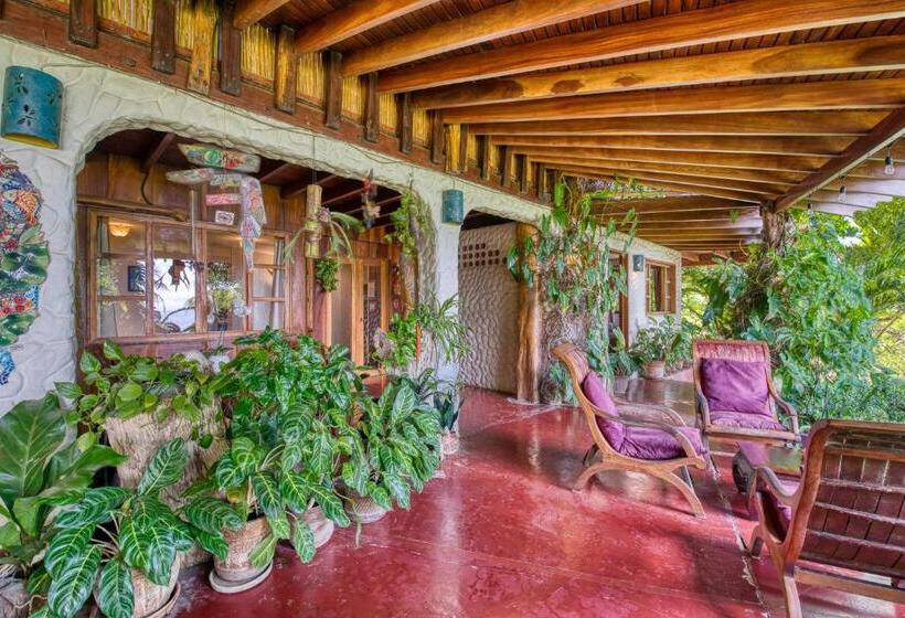 اتاق استاندارد برای معلولان, Amor De Mar