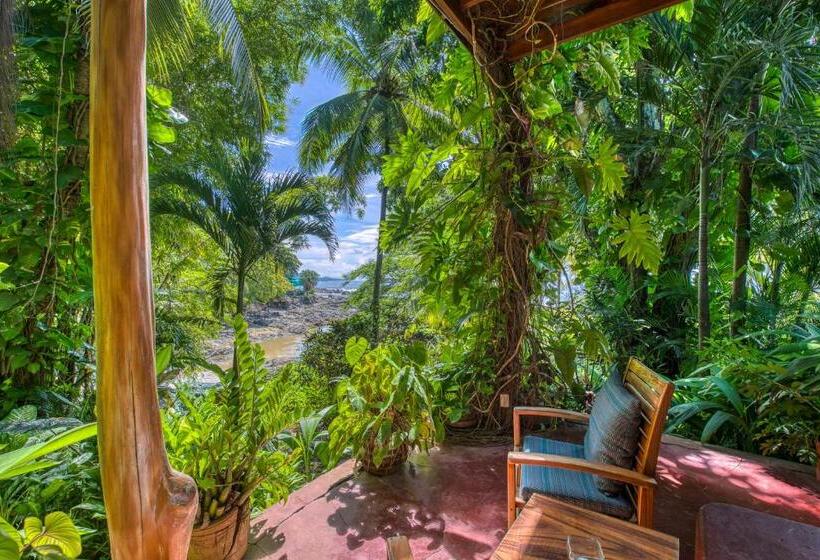 اتاق لوکس با چشمانداز دریا, Amor De Mar