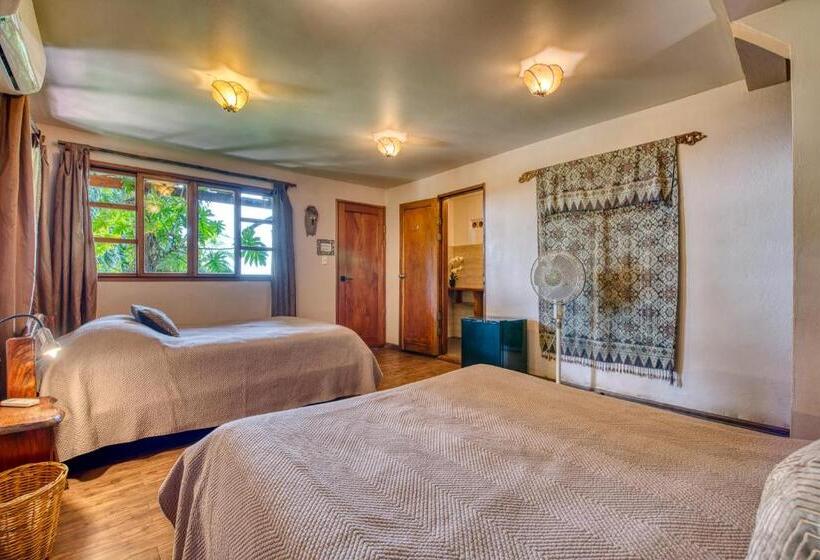 اتاق لوکس با چشمانداز دریا, Amor De Mar