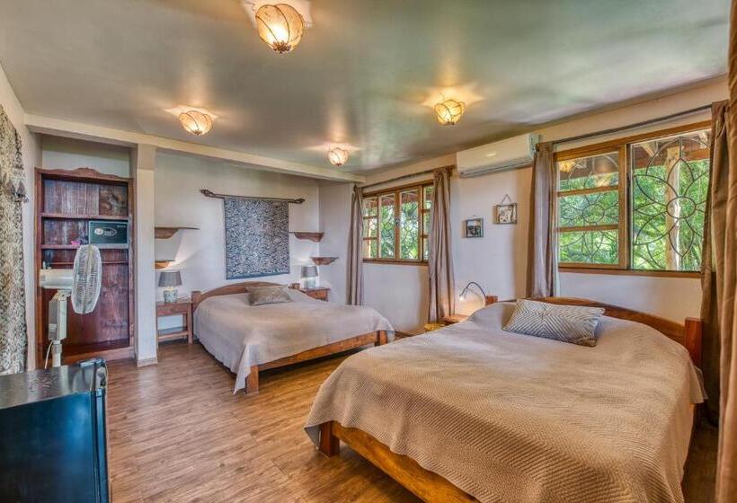 اتاق لوکس با چشمانداز دریا, Amor De Mar