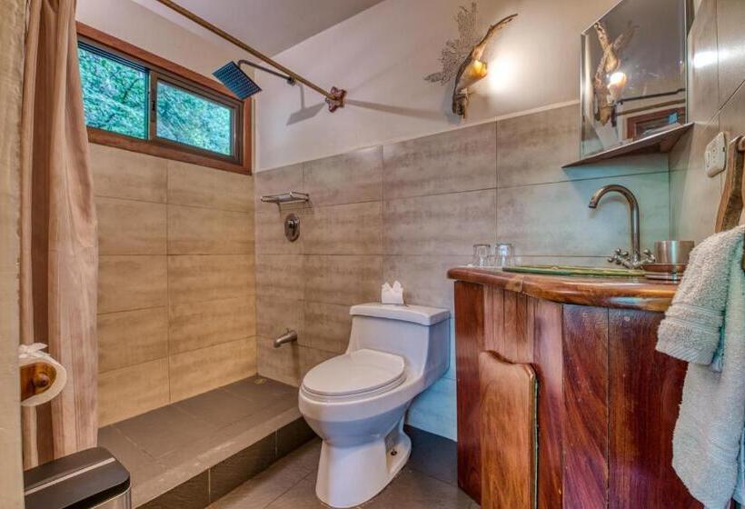 اتاق استاندارد, Amor De Mar