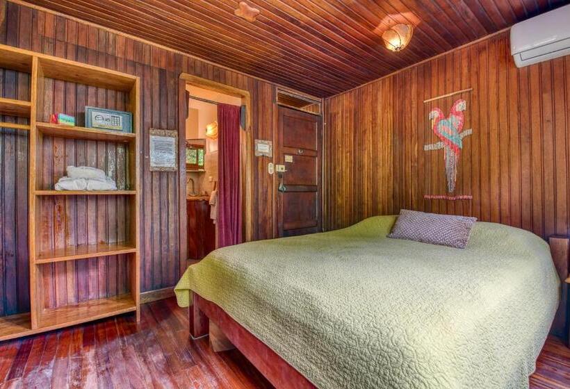 اتاق استاندارد, Amor De Mar