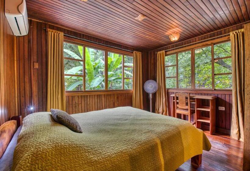 اتاق استاندارد, Amor De Mar