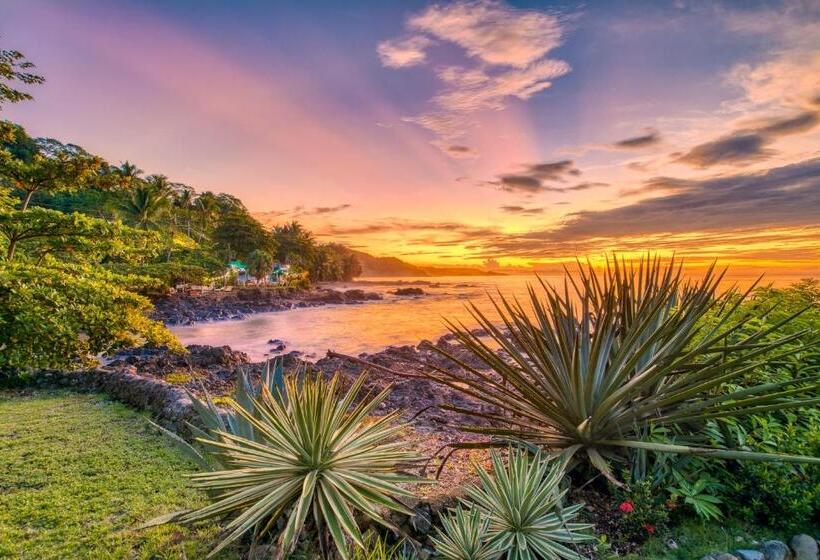 اتاق لوکس با بالکن و چشمانداز دریا, Amor De Mar