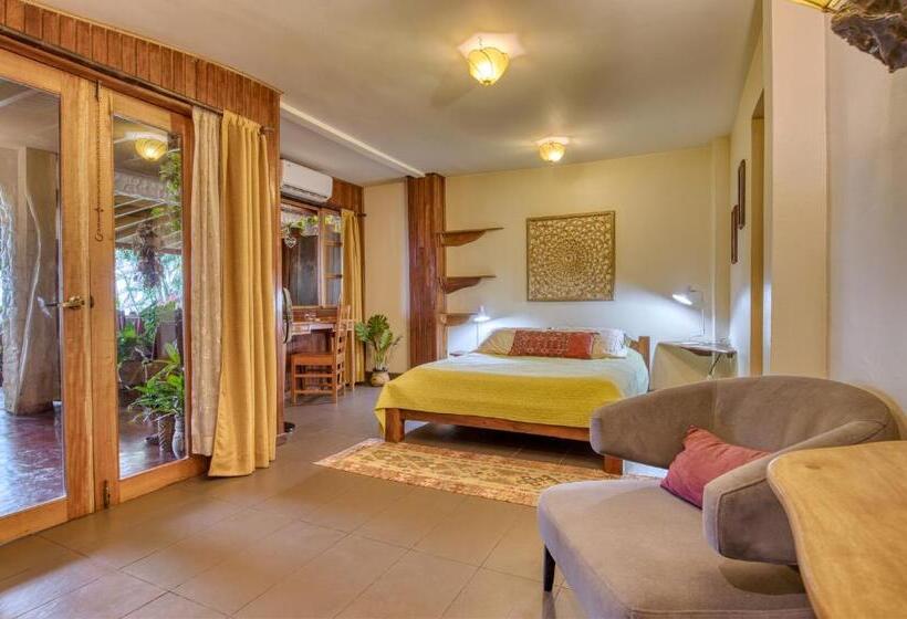 اتاق استاندارد برای معلولان, Amor De Mar