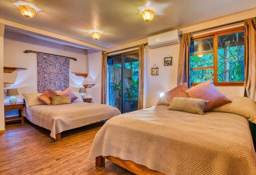 اتاق لوکس با چشمانداز دریا, Amor De Mar