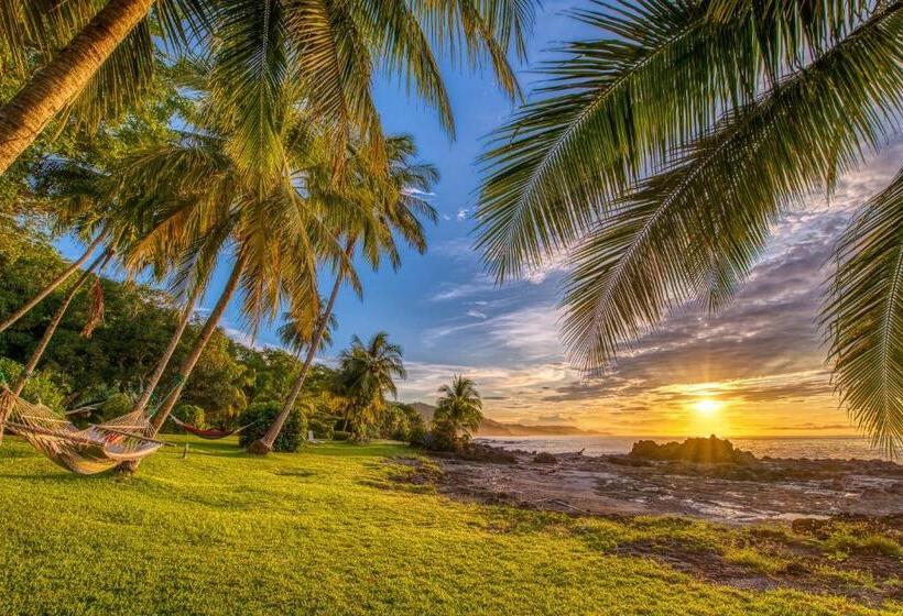 ویلای 1 خوابه با چشمانداز دریا, Amor De Mar