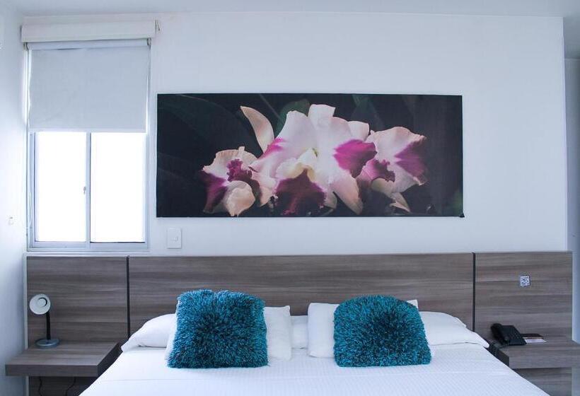 חדר סטנדרט, Bga