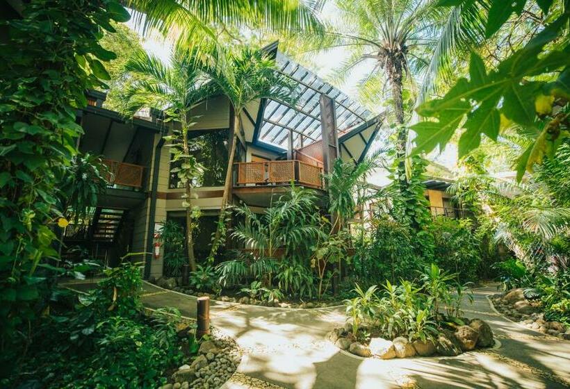 جناح جونيور, Bosque Del Mar Playa Hermosa