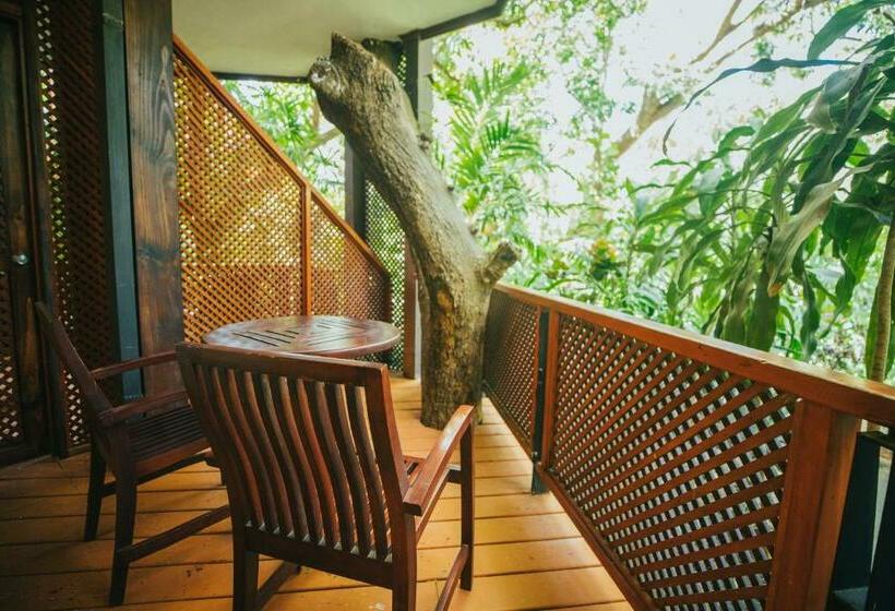 جناح جونيور, Bosque Del Mar Playa Hermosa